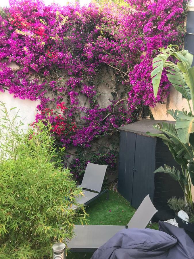 Studio Tout A Pieds Sanary-sur-Mer Dış mekan fotoğraf